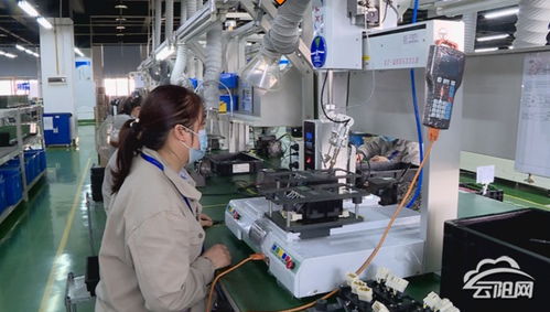 覃昌德率隊赴拉薩、成都考察 深化文旅融合，推動招商引資與電子產品研發銷售新突破