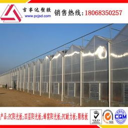 計算機圖文設計 數字化時代的創意表達與技術融合